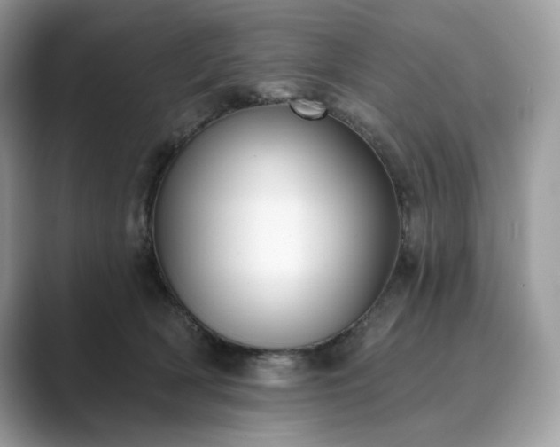 X0000089900418200707051311