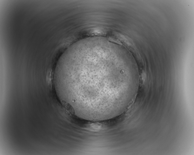 X0000089900423200707051311
