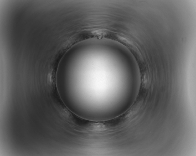 X0000089900424200707051311
