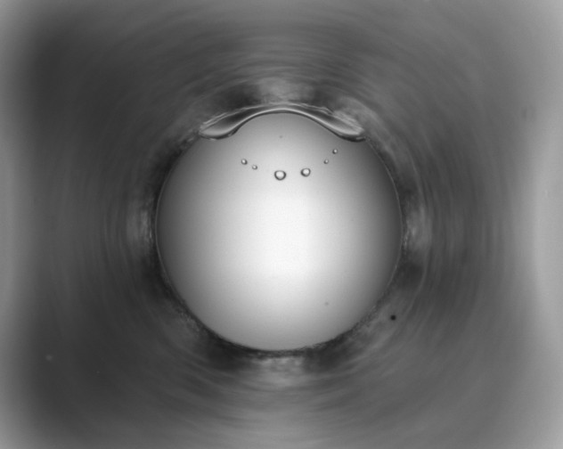 X0000089900426200707051311