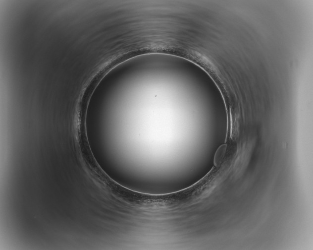 X0000089900435200707051310