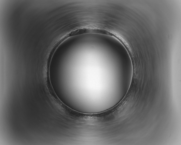 X0000089900437200707051310