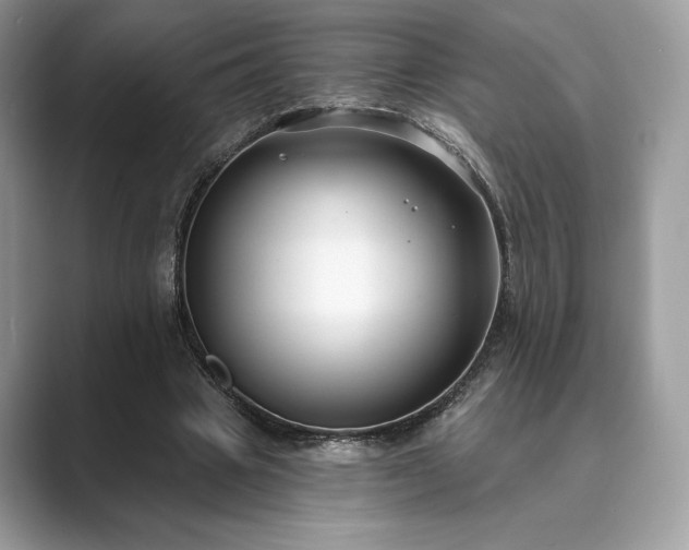 X0000089900441200707051310