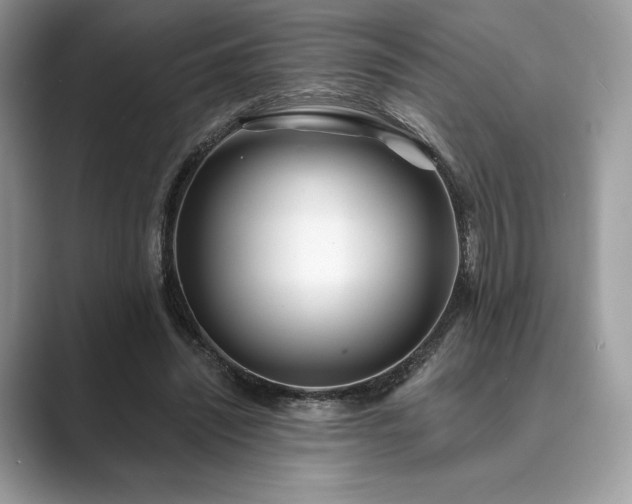X0000089900444200707051311