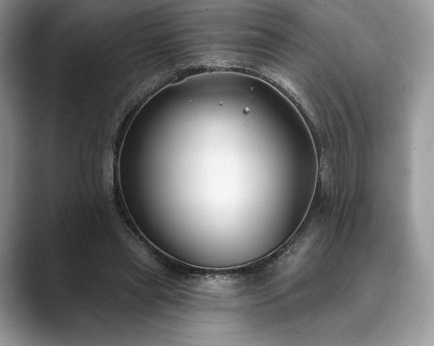 X0000089900445200707051311