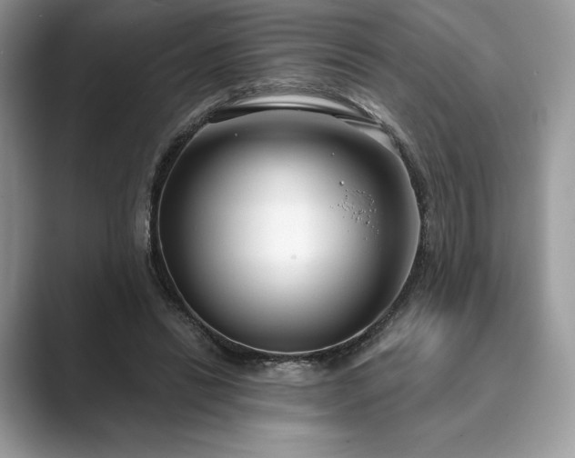 X0000089900446200707051311