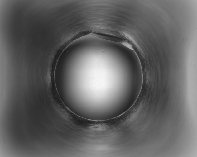 X0000089900447200707051311