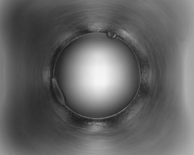 X0000089900448200707051311