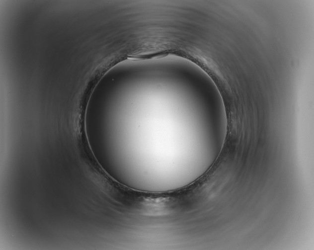 X0000089900450200707051311