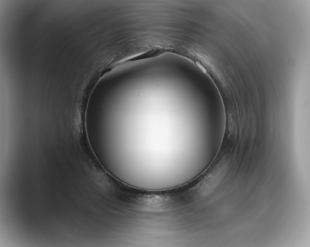 X0000089900453200707051311