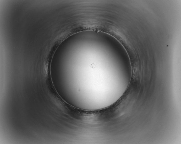 X0000089900454200707051311