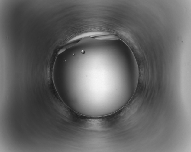 X0000089900457200707051311