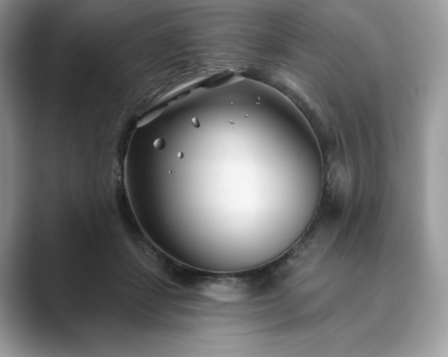 X0000089900459200707051311
