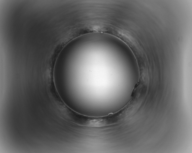 X0000089900461200707051311