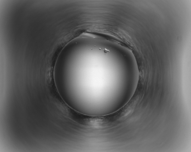 X0000089900462200707051311