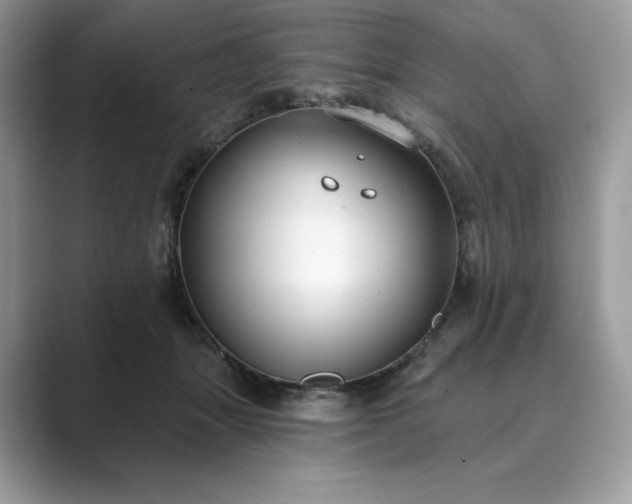 X0000089900463200707051311