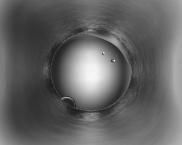 X0000089900465200707051311