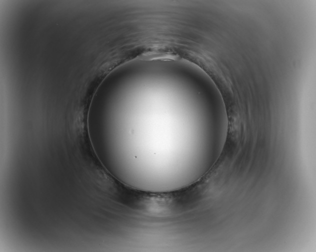 X0000089900466200707051311