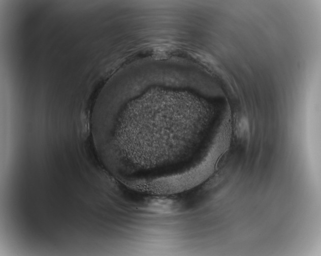 X0000089900471200707051311