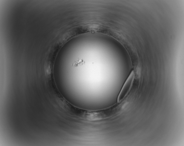X0000089900472200707051311