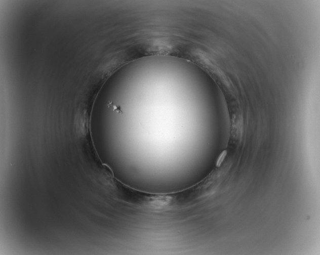 X0000089900474200707051311