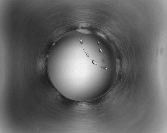 X0000089900475200707051311