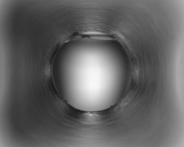 X0000089900477200707051311