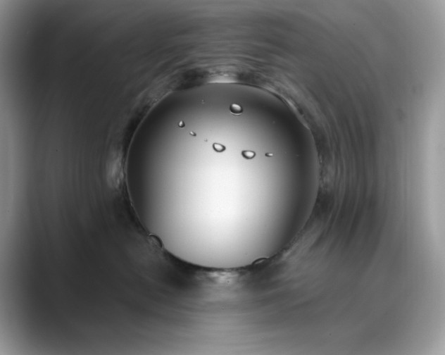 X0000089900478200707051311