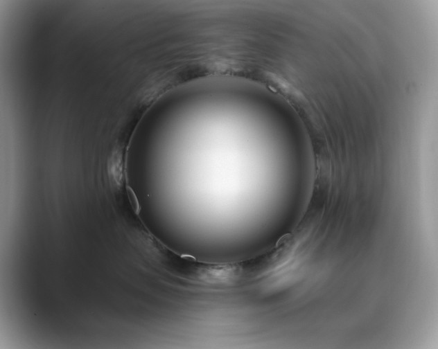 X0000089900479200707051311