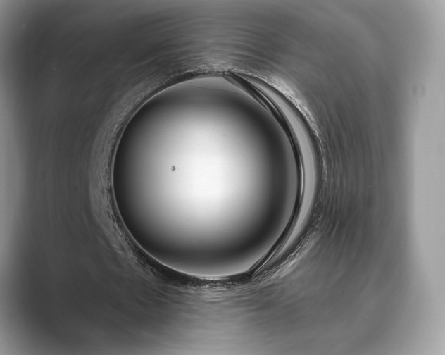 X0000089900481200707051310