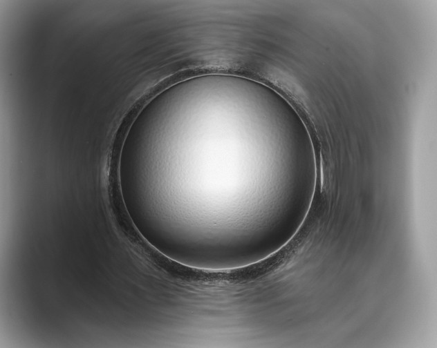 X0000089900483200707051310