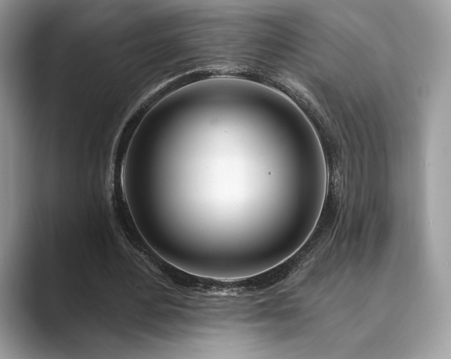 X0000089900484200707051310
