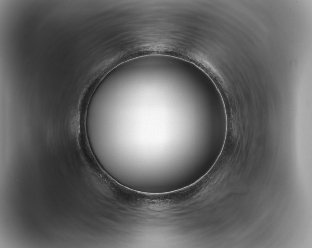 X0000089900486200707051310