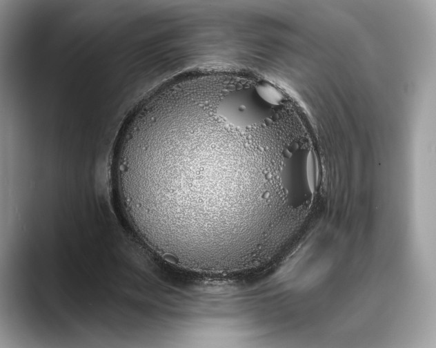 X0000089900487200707051310