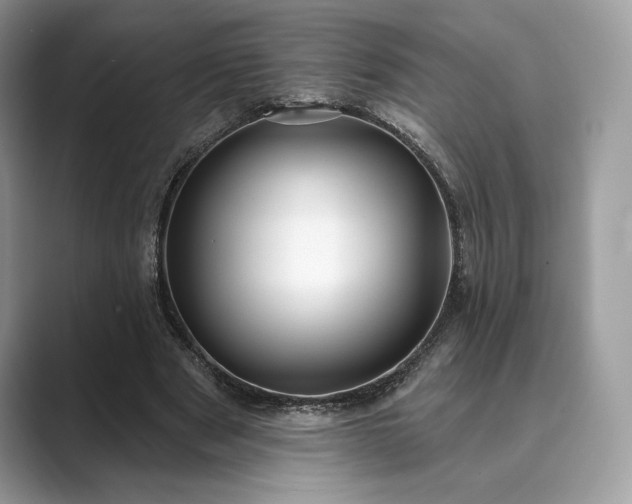 X0000089900489200707051310