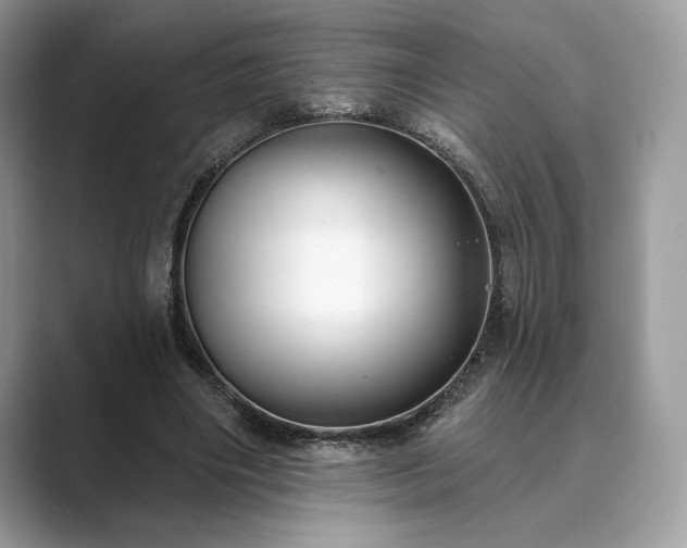 X0000089900490200707051310