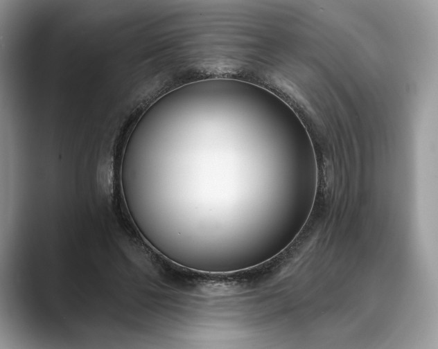X0000089900494200707051310