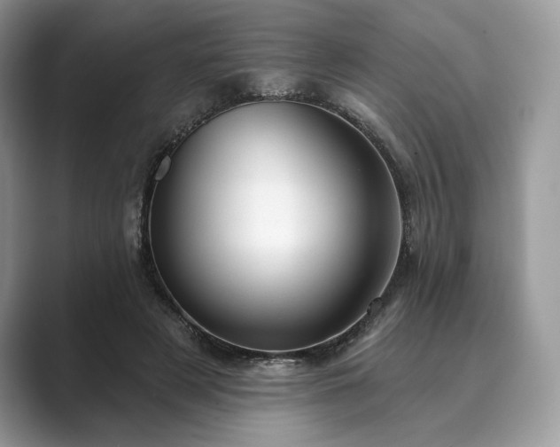 X0000089900497200707051310