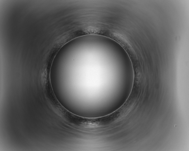 X0000089900498200707051310
