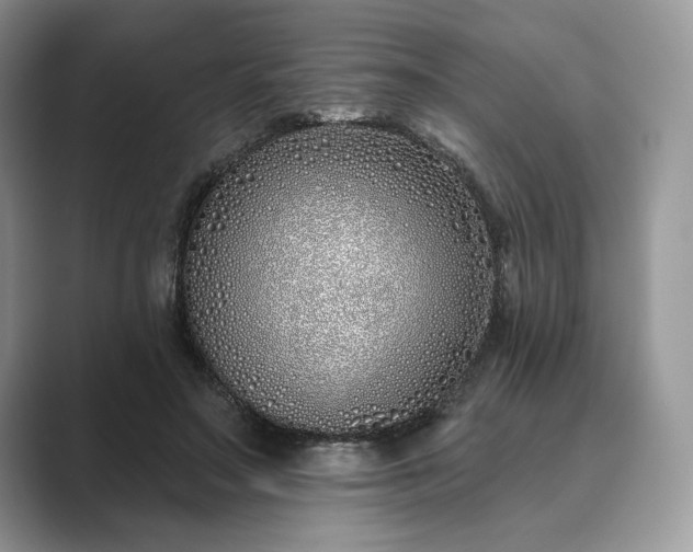 X0000089900499200707051310