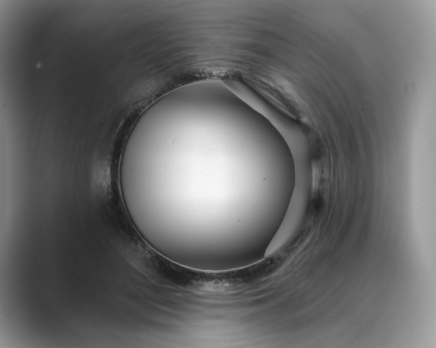 X0000089900500200707051310
