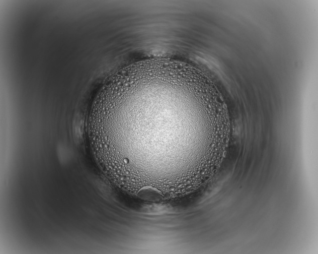 X0000089900503200707051310