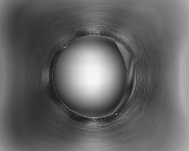 X0000089900504200707051310