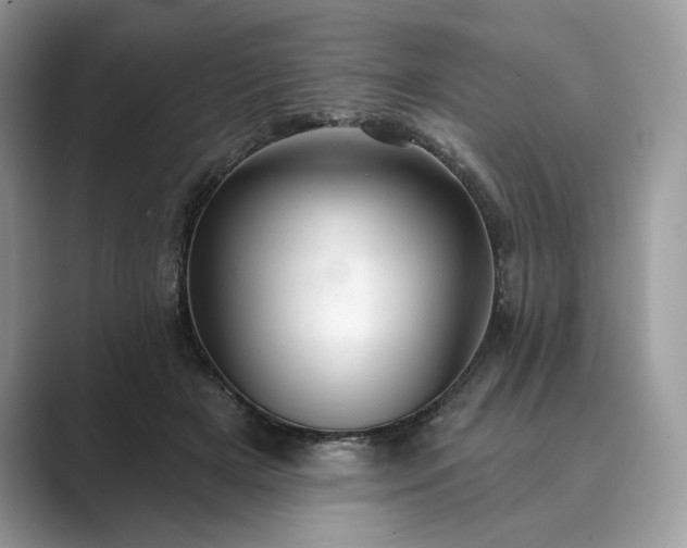 X0000089900505200707051310