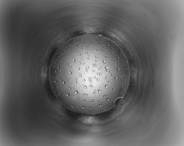 X0000089900507200707051310