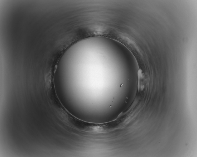 X0000089900509200707051310