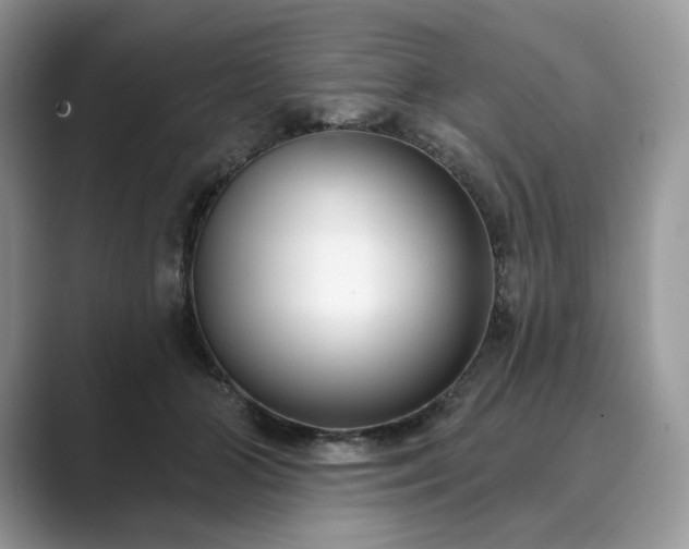 X0000089900510200707051310