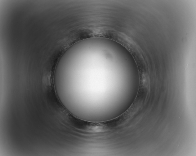 X0000089900514200707051310