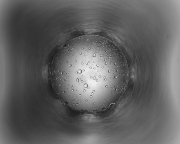 X0000089900519200707051310