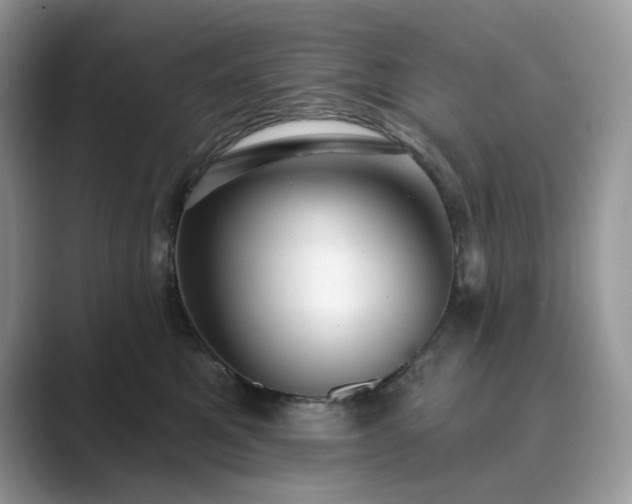 X0000089900521200707051310